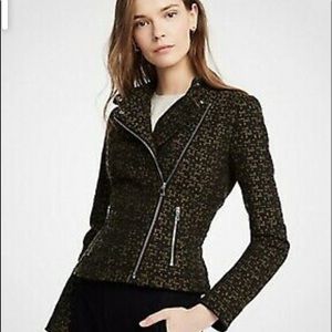 Ann Taylor Tweed Moto Jacket